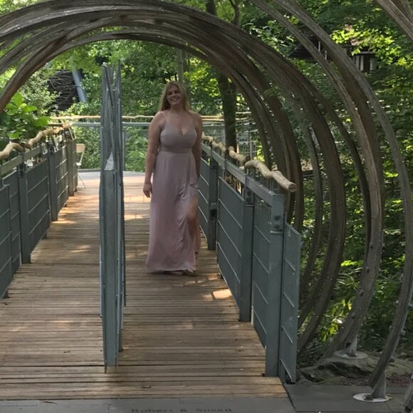 Express pale mauve maxi dress - Picture 1 of 5